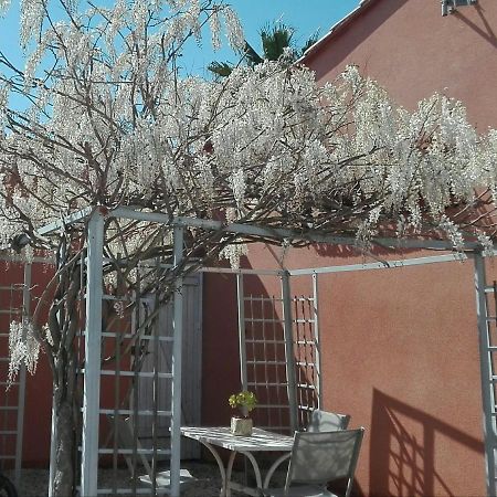 Gite Mas Uranie Le Soler Exterior foto