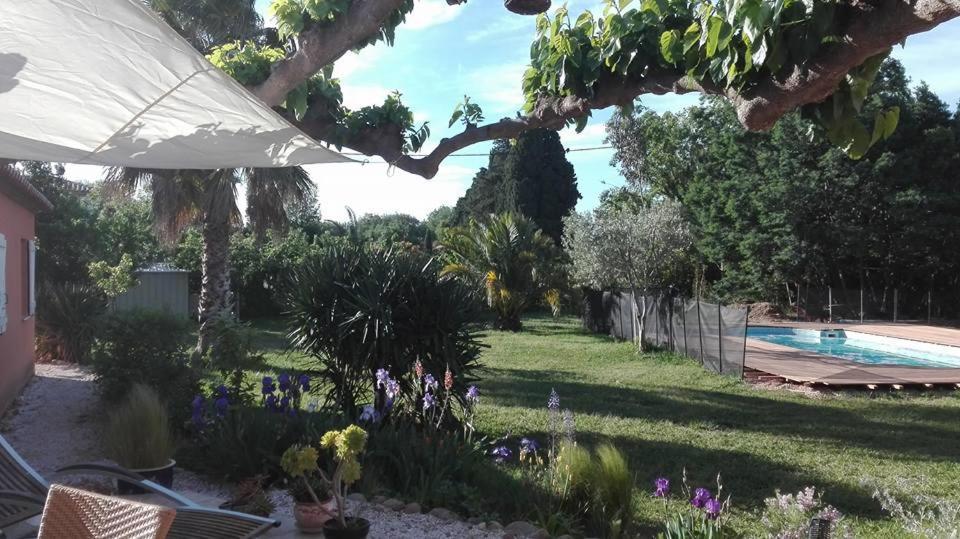 Gite Mas Uranie Le Soler Exterior foto